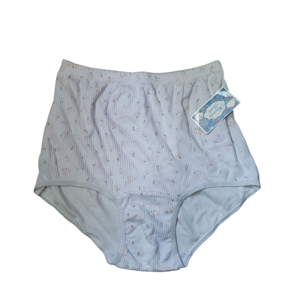 VTG Heavenly Secrets Panties Briefs Sz 9 nwt